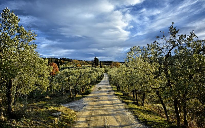 Castelnuovo Berardenga, sulla Strada del Vino e dell’Olio