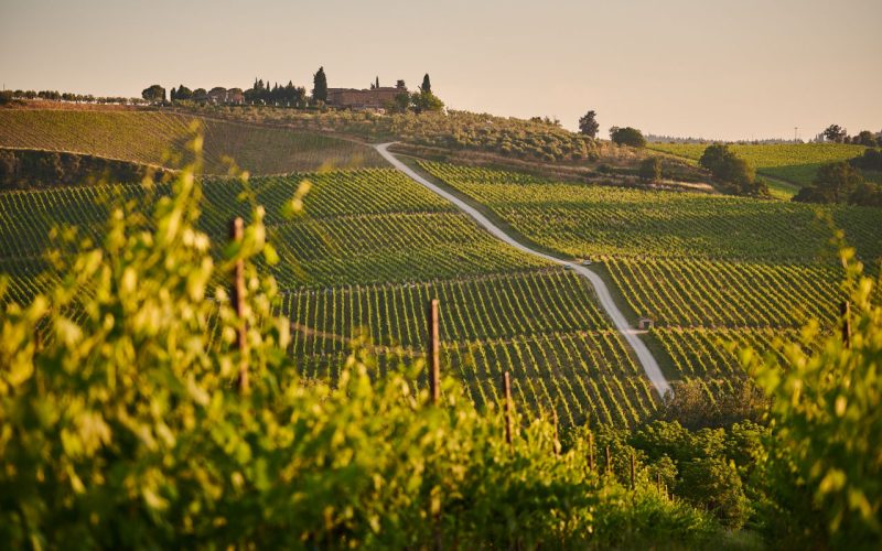 Radda in Chianti, il borgo delle vigne