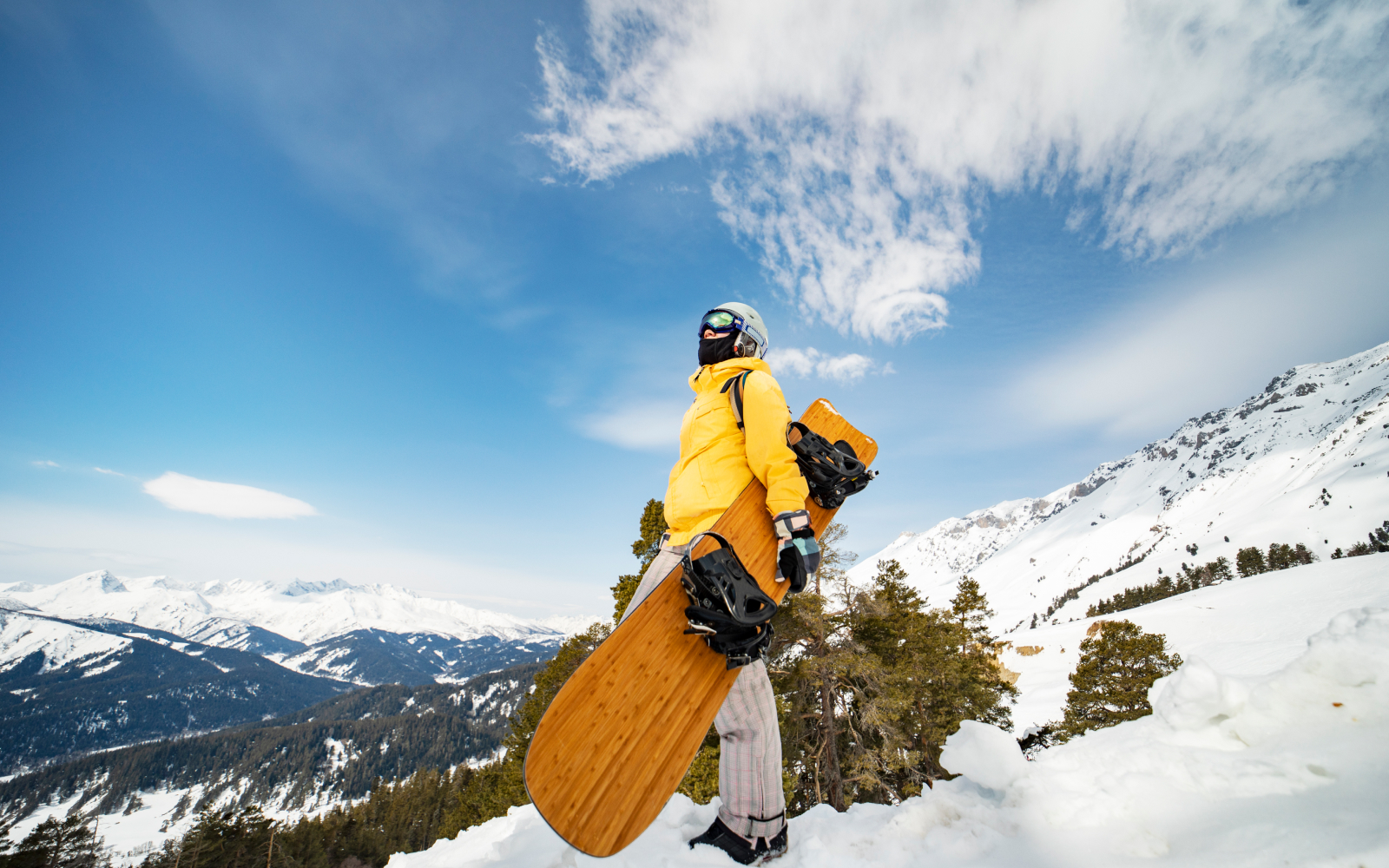 Snowboard LV Ice - Art of Living - Sports and Lifestyle