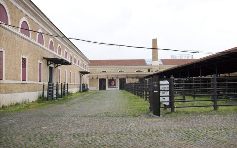 The "Slaughterhouse"