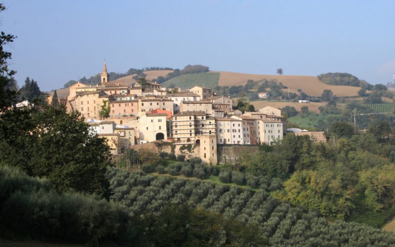 Degustando l’olio di Cartoceto DOP: inebriarsi tra il gusto e l’olfatto