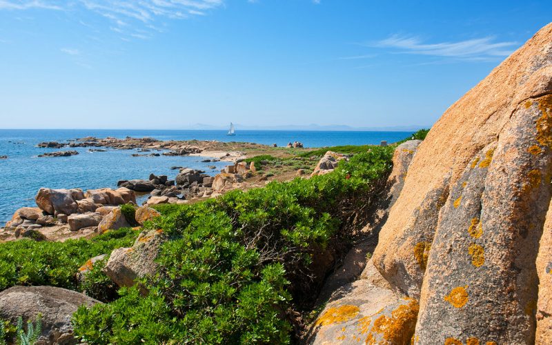 Parco Nazionale dell’Asinara